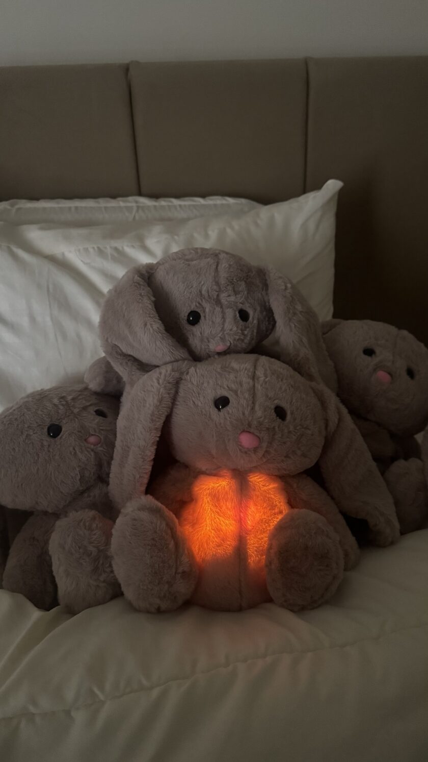 Breathing bunny - Image 3